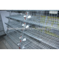 china new design best selling commercial quail cages